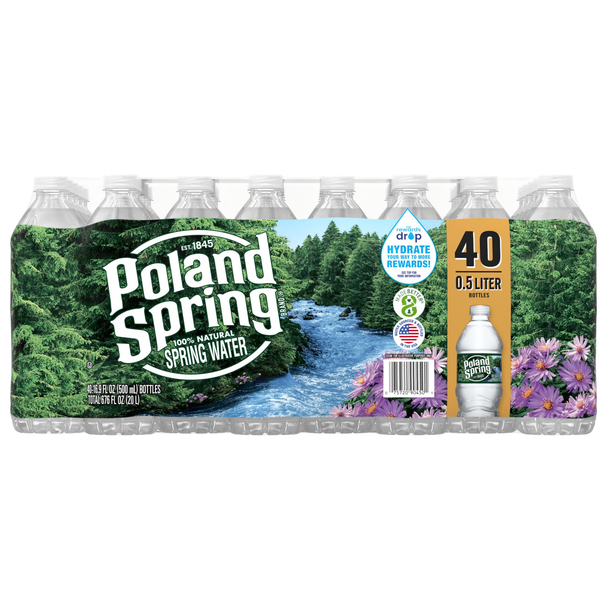 Poland Spring 100% Natural Spring Water 16.9 oz (40-pk)